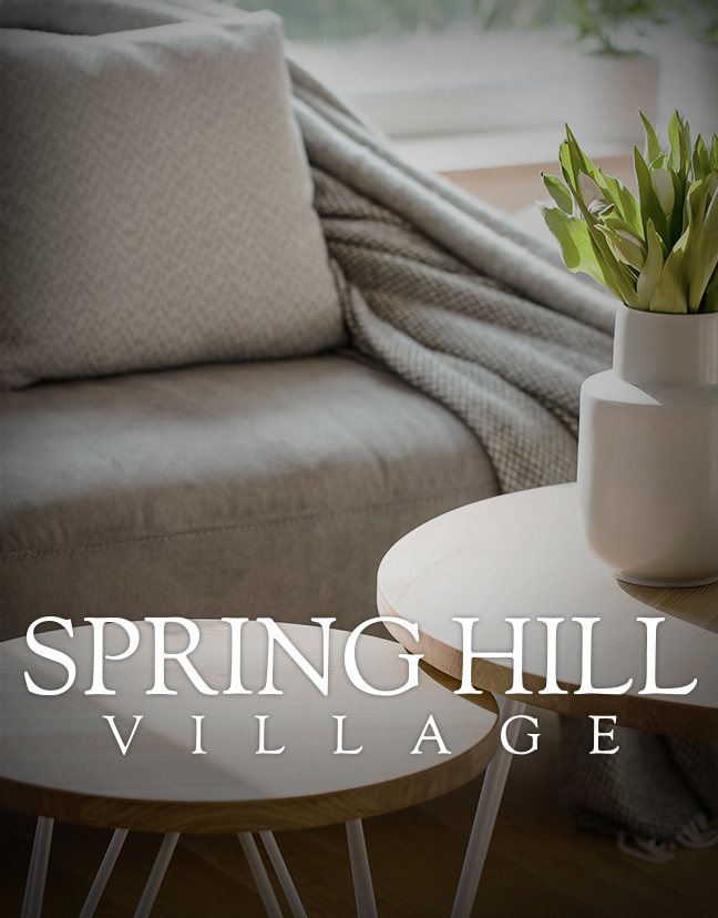 Spring Hill Village Property Photo